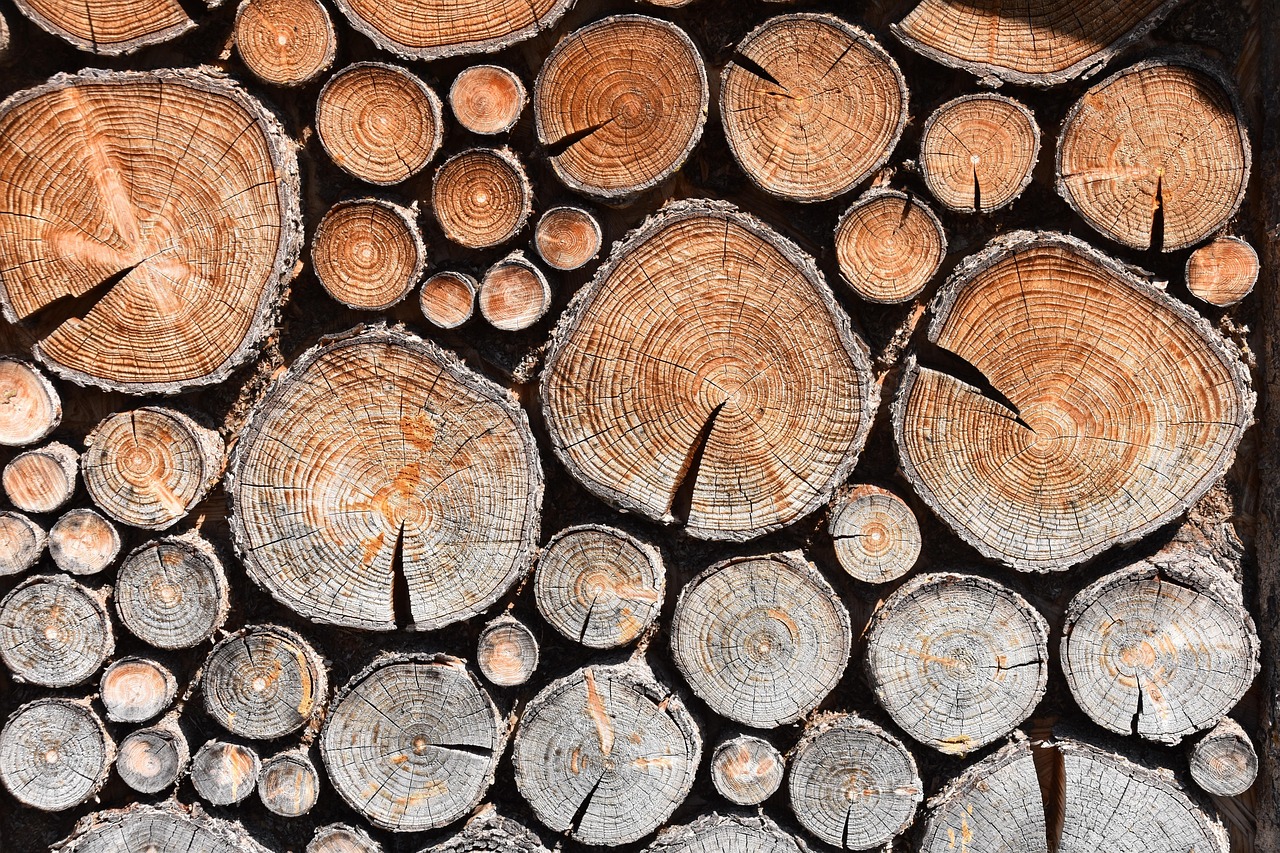 drink, stacking wood, wood stored, fire, wood grinding, wood for the fireplace